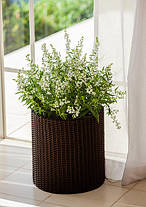 Набір горщиків для квітів Keter Cylinder Planter Set, коричневий, фото 3