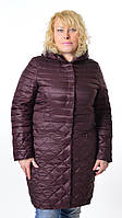 Куртка бордовая Monte Cervino 830, Италия, большие размеры