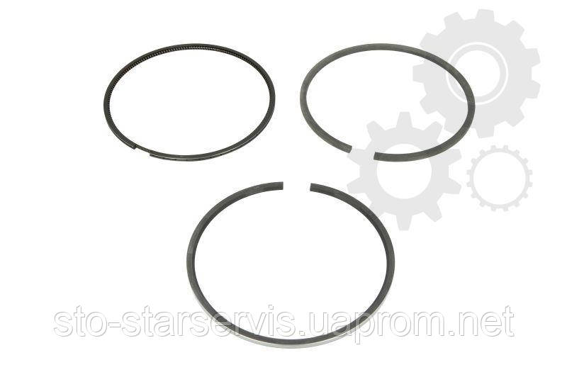 Кільця поршня (блоку / циліндра) двигуна DAaf XF-105 1784291 800101710000