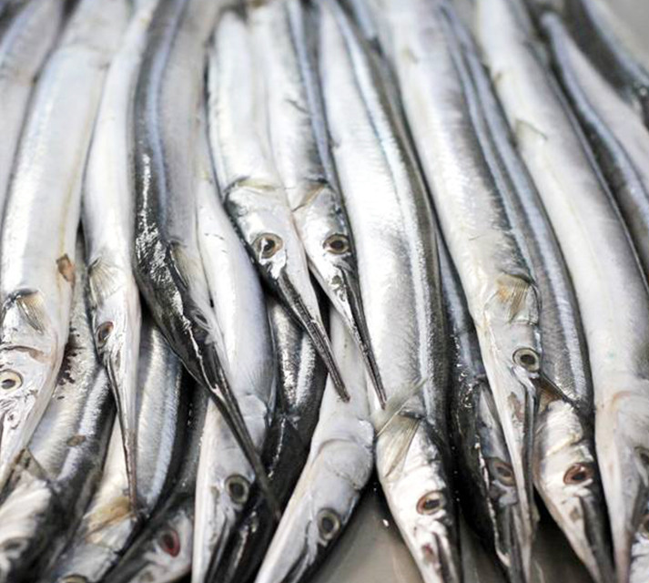 Сарган балтійський великий, свіжоморожений, 60см+ (2-3штуки/1кг) - фото 1 - id-p2742725026