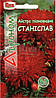 Астра піоноїдна Станіслав, 0.3 г Агроном, фото 2