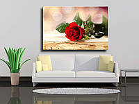 Картина на холсте "Одинокая красная роза"