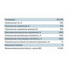 Вимикач-роз'єднувач ВН 3 полюси (3Р) 250А 8кв 400B / 690B Electro, фото 2