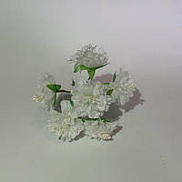 Хризантема 6 штук. Цвет белый
