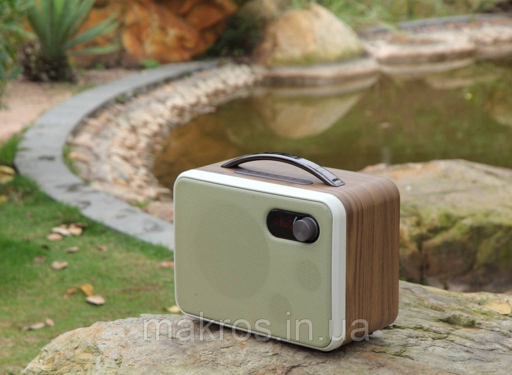 Мобільна акустична система SongMu Audio D8, фото 1