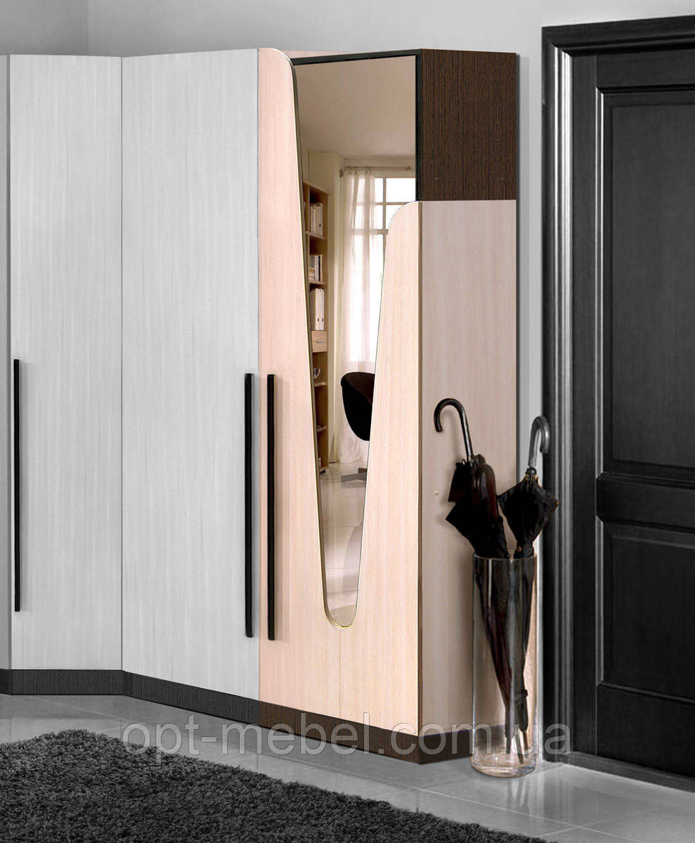 Шафа Арья 550 з дзеркалом, фото 1