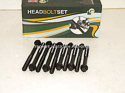 Болти головки двигуна на Рено Кенго 1.4 i - BGA (Великобританія) BK6318