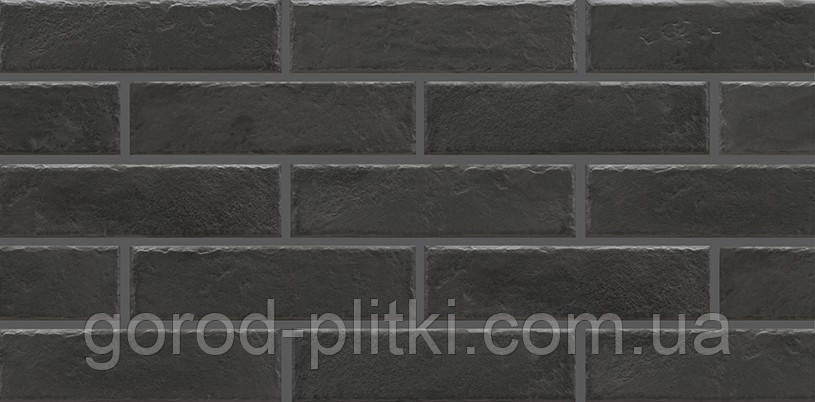 Cerrad Foggia nero 6.5x24.5, фото 1