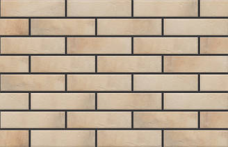 Cerrad Retro Brick Salt 65x245