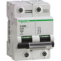 Автоматичний вимикач C120N 2P 63A B Schneider Electric (A9N18344)