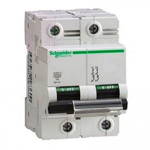 Автоматичний вимикач C120N 2P 100A D Schneider Electric (A9N18384)