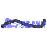Патрубок радіатора нижній FORD FIESTA/B-MAX 2008- (1.4 TDCI) (1827185/8V218B273BC/CS7682) DP GROUP