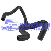 Патрубок радіатора нижній FORD ESCORT 1990-1999 (1.8 DI) (1055271/97AB8B273DA/CS3719) DP GROUP