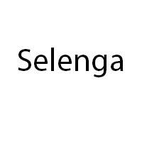 Selenga