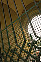 Сітка для декоративного огородження Tenax Квадра 10 1х50 м зелена, фото 3