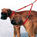 Нейлоновий ремінець для двох собак TWIN 10/36 ferplast, фото 2