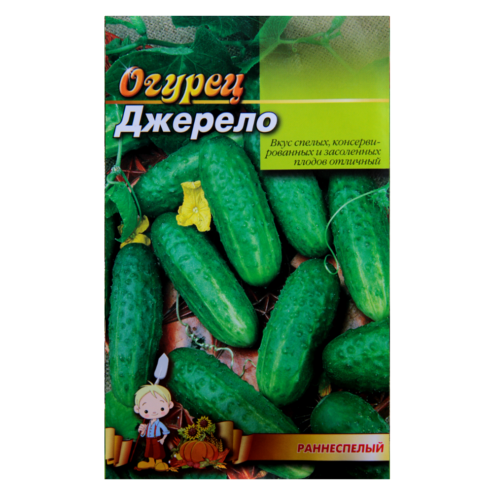 Насіння Огірок Джерело ранньостиглий 3 г великий пакет, фото 1