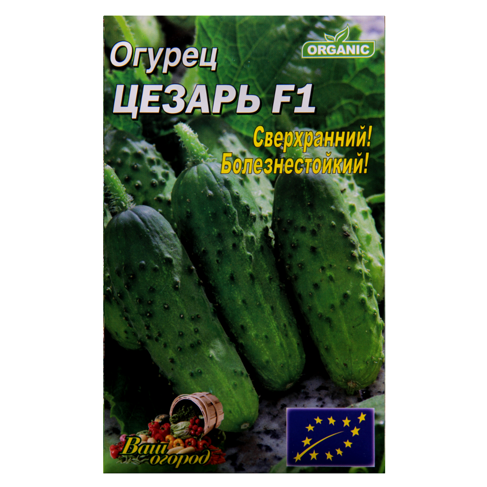Насіння Огірок Цезар F1 надранній 3 г великий пакет, фото 1