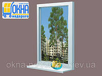 Глухое окно Veka SoftLine