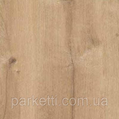 Natura Line 32/8 AGT PRK507 Iglas Oak ламінат, фото 1