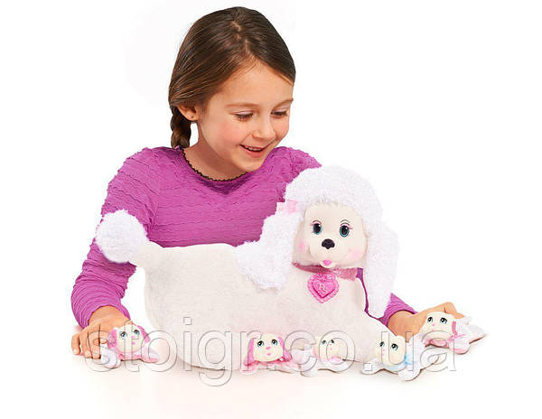 Puppy surprise sale stacy