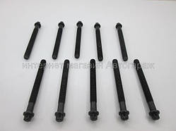 Болти головки двигуна на Рено Кенго 1.9 D/1.9 DTI F8Q (119 мм) - ELRING (Німеччина) 111.460