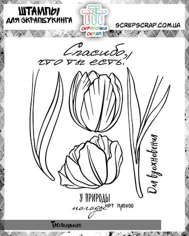 Набір штампів тюльпани (написи російською), фото 2