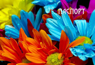 Обкладинки на паспорт пвх