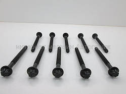 Болти головки двигуна на Рено Кенго 1.5 dci (K9K) - VICTOR REINZ (Німеччина) 14-32230-01