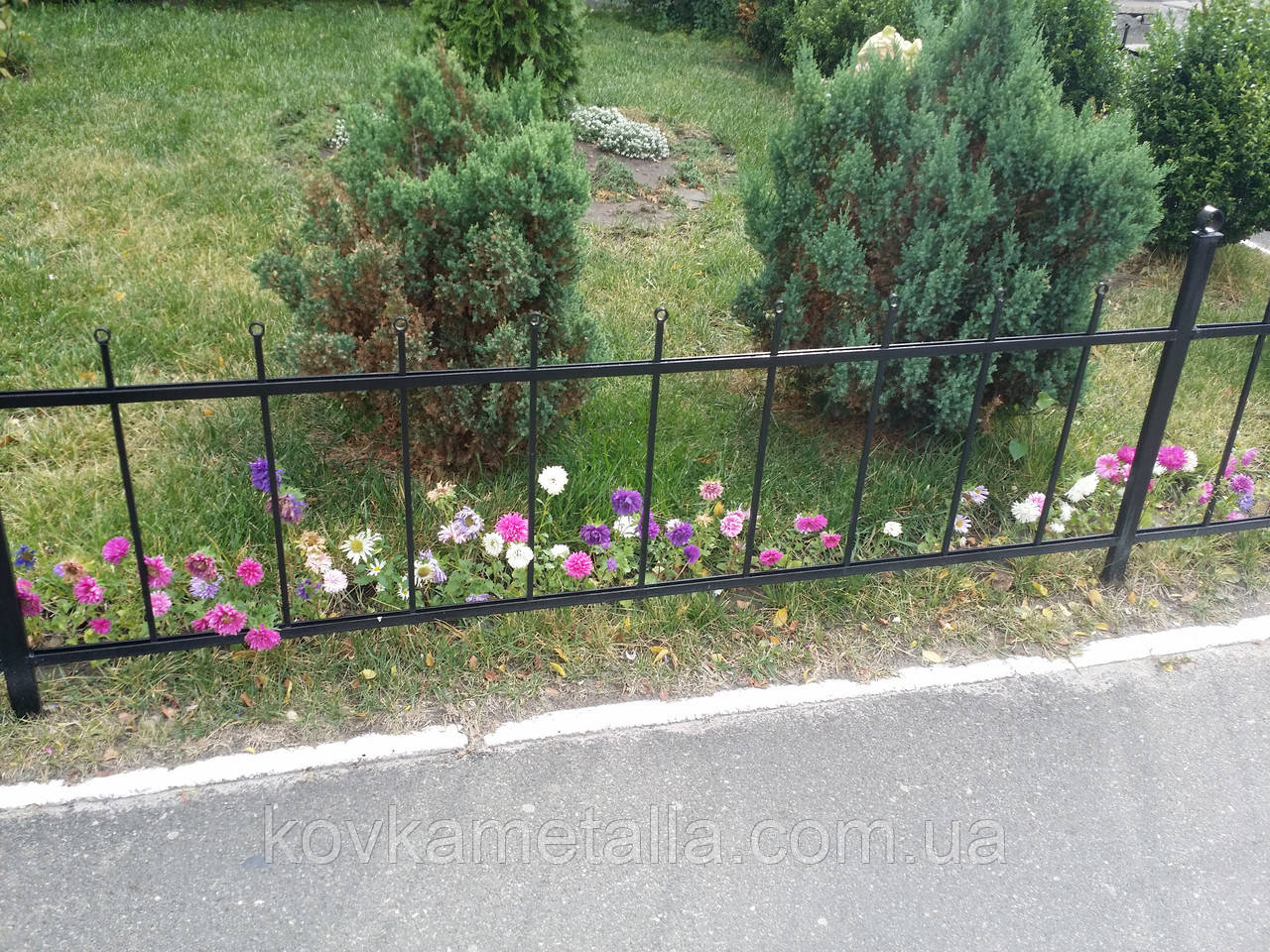 Купить Заборы для палисадника арт. зп 6, цена 620 грн — Prom.ua (ID ...