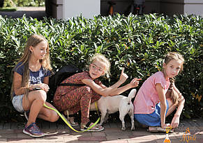 Квест Тайна саквояжа для веселой компании  17.09.2017 1