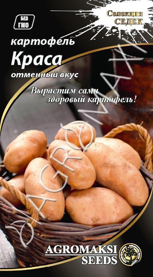 Картопля Краса 0.01 г Agromaksi