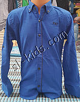 Стильная стрейчевая рубашка для мальчика 6-14 лет (опт)(ярко синяя 01) (пр. Турция)