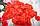 Штучні пелюстки троянд. Яскраві кольорові пелюстки троянд. Шовкові пелюстки, фото 8