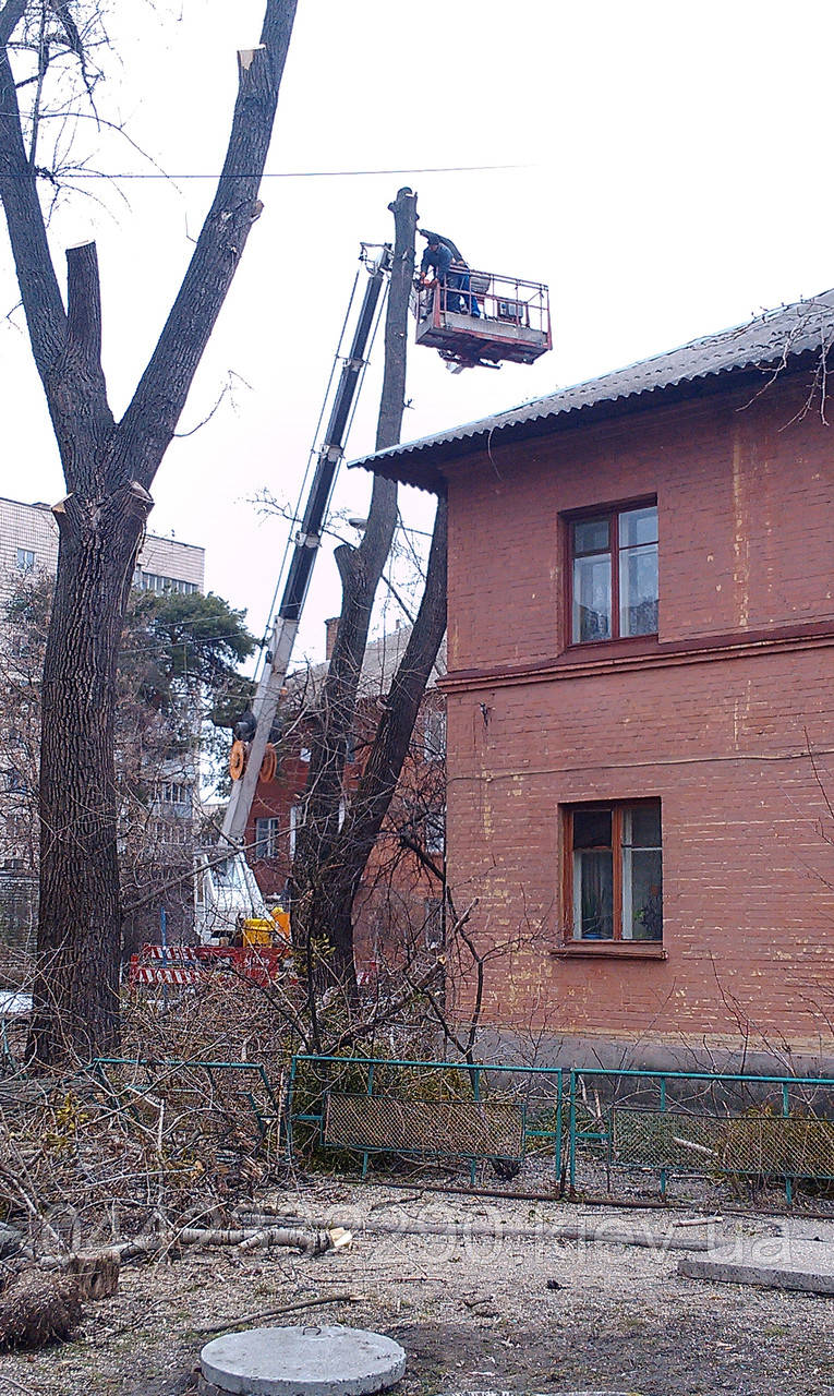 Оренда автовишки Васильків