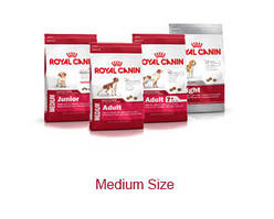 Medium (11 - 25 кг)