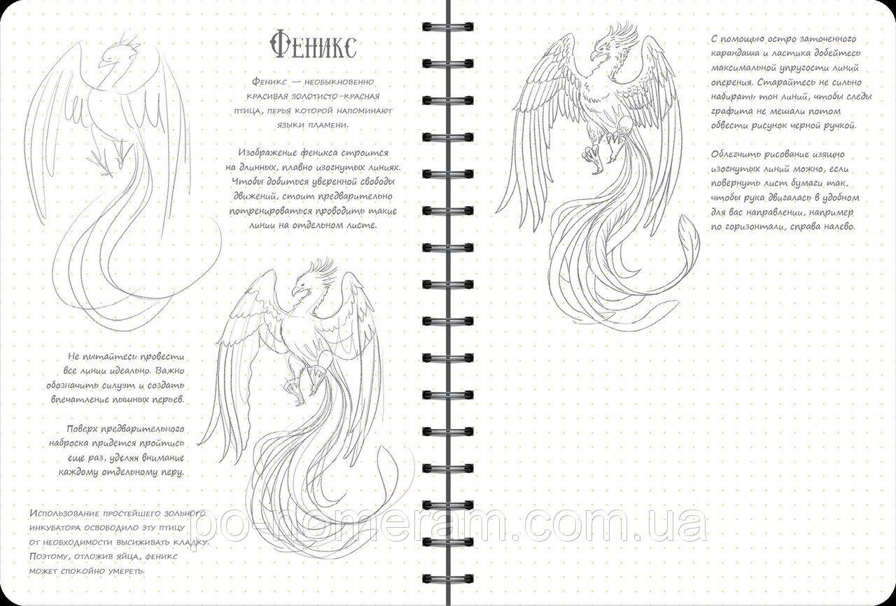 Скетчбук уроки малювання фантастичних істот експрес курс Sketchbook Око - фото 4 - id-p667323249