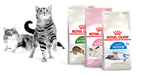 Сухий корм для кішок і кошенят