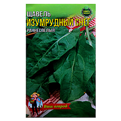 Насіння Щавель Смарагдовий сніг морозостійкий ранньостиглий 10 г великий пакет