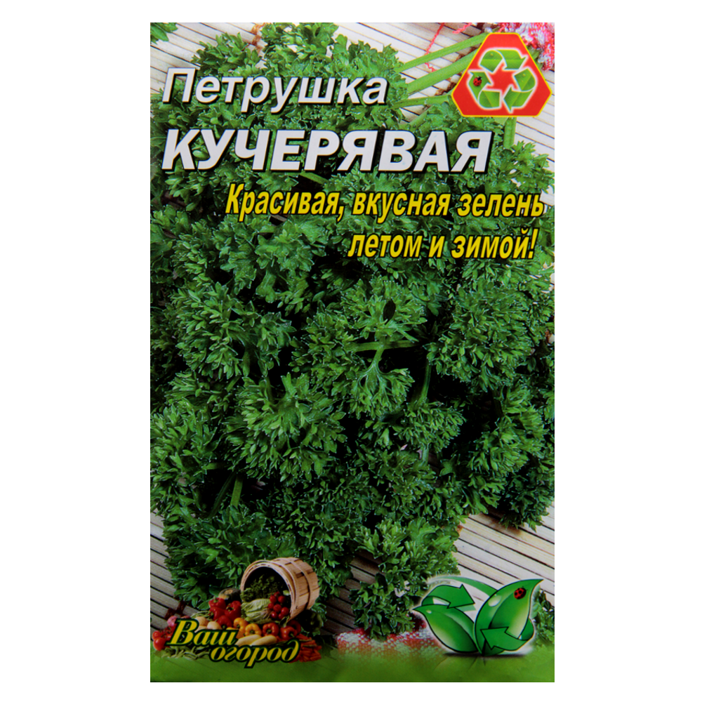 Семена Петрушка Кучерявая ранняя 10 г большой пакет - фото 1 - id-p667110806