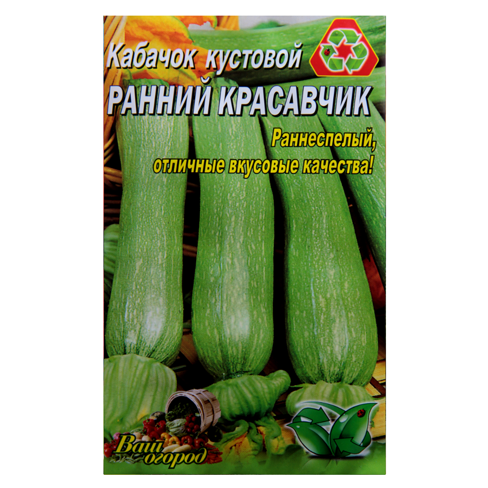Насіння Кабачок Ранній красень 10 г ранньостиглий кущовий великий пакет, фото 1