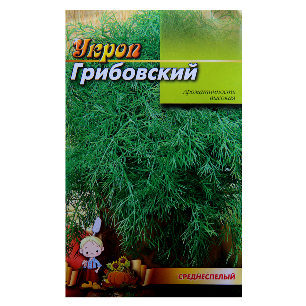 Насіння Кріп Грибівський середньостиглий 20 г великий пакет, фото 1
