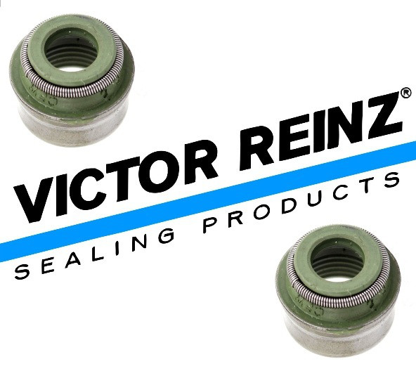 Сальники клапанів Daewoo Leganza Victor Reinz (VR 12-31306-12), фото 1