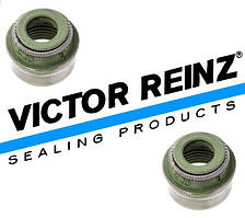 Сальники клапанів Daewoo Leganza Victor Reinz (VR 12-31306-12)