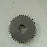 Шестерня первинного валу 2 передачі Z-44 ремінного редуктора, фото 3