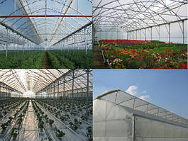 Тепличні контрукції