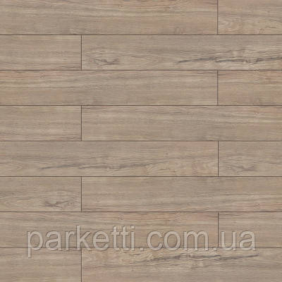 Concept 32/10 AGT PRK 603 Scala ламінат, фото 1