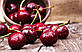 Montale Intense Cherry (Монталь Інтенс Черрі) 45 мл. ОПТ, фото 3