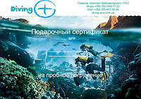 Что подарить?