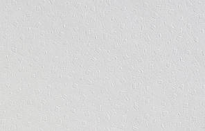 Флізелінові шпалери під фарбування Vliesfaser 729 (25,0 x 0,75)